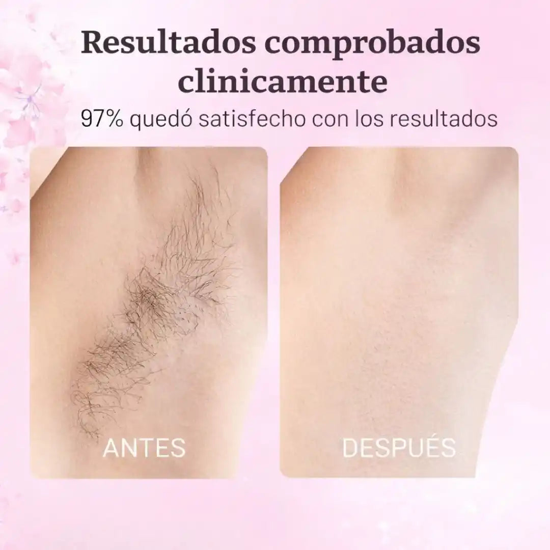 Encabezado