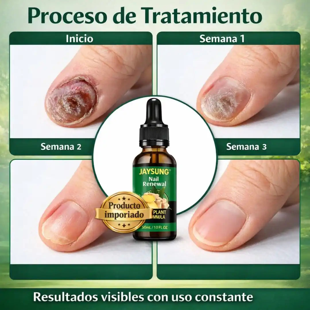 Encabezado