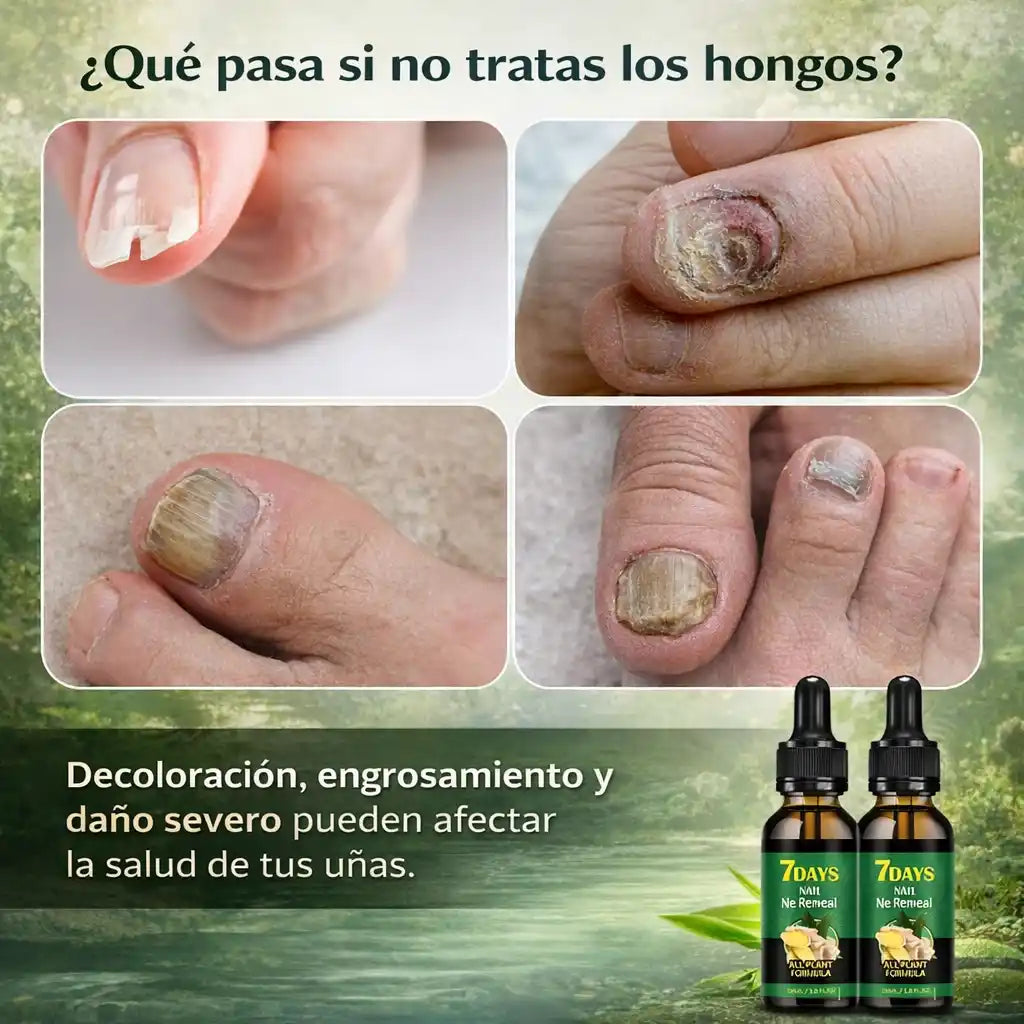 Encabezado